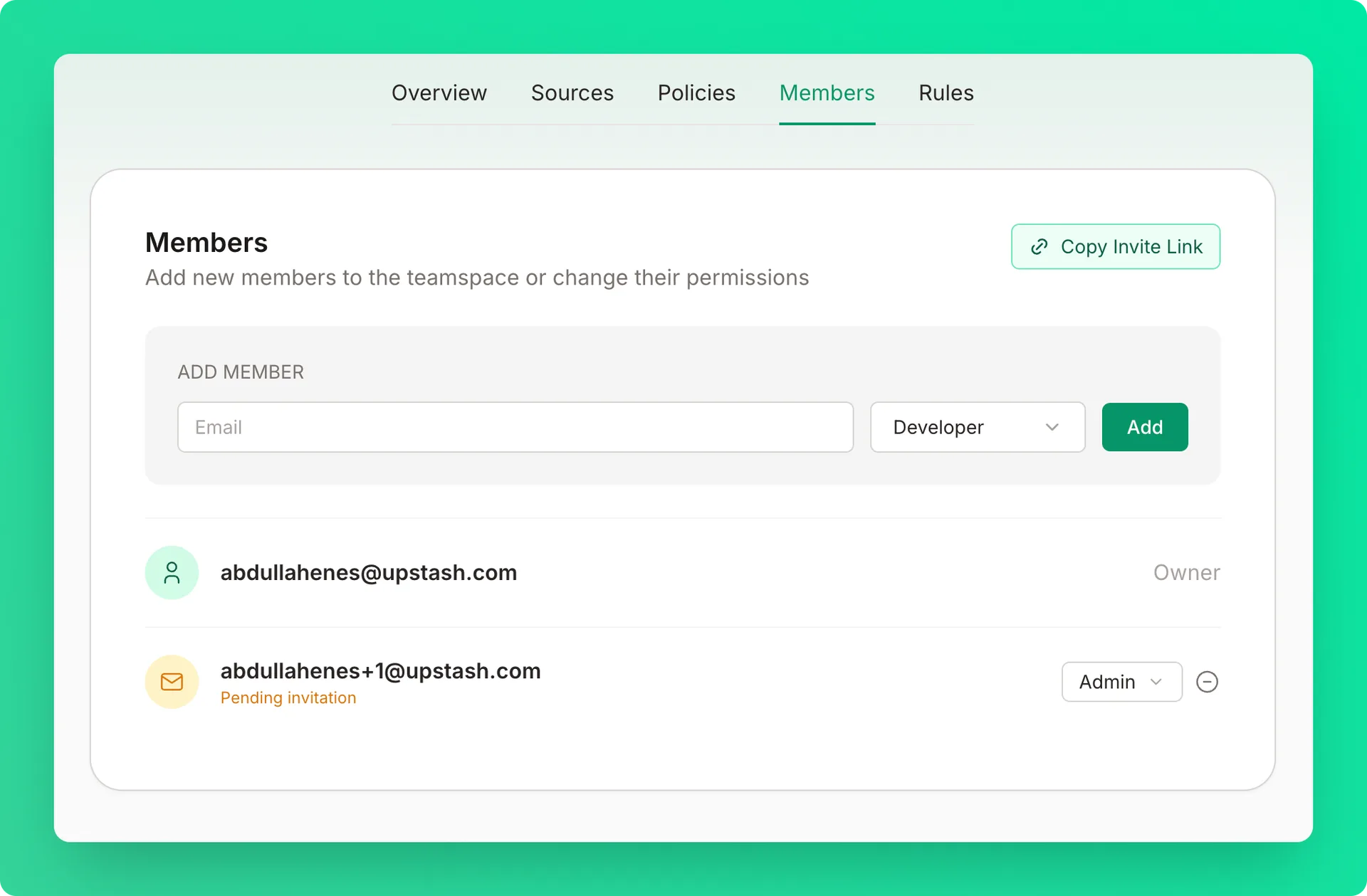 Members tab displaying team members list with owner, admins, and developers